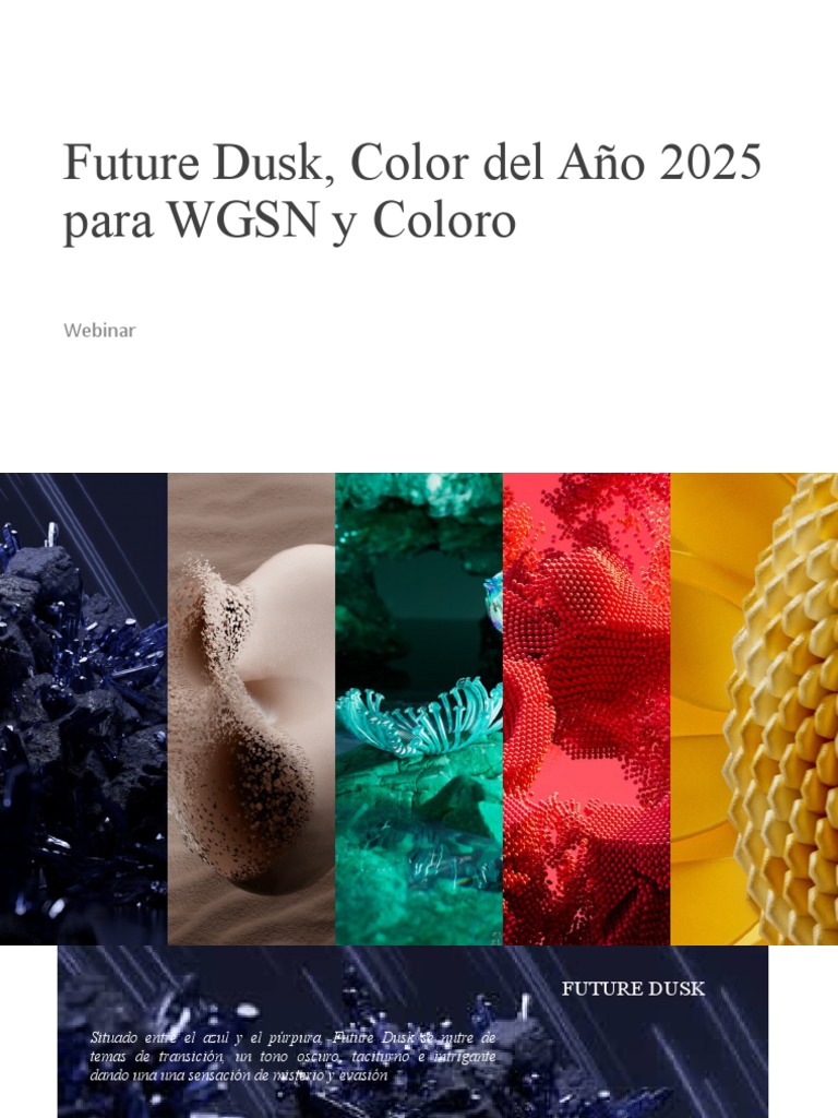 Future Dusk, Color Del Año 2025 PDF