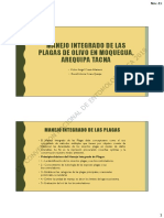 Manejo Integrado de Las Plagas Victor-Ccasa-MIP-Del-olivo - Watermark