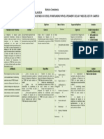 Matriz de Consistencia Actual V2