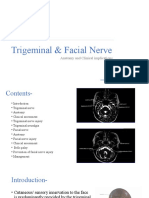 Trigeminal and Facial Nerve
