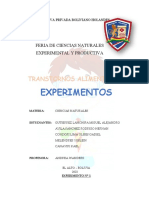 EXPERIMENTO Informe