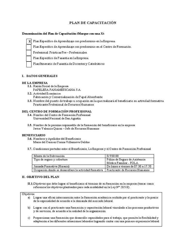 Plan de Capacitación para Practicantes HR | PDF | Business | Gestión de ...