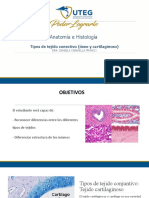 Histologia Tejido Conectivo Cartilago