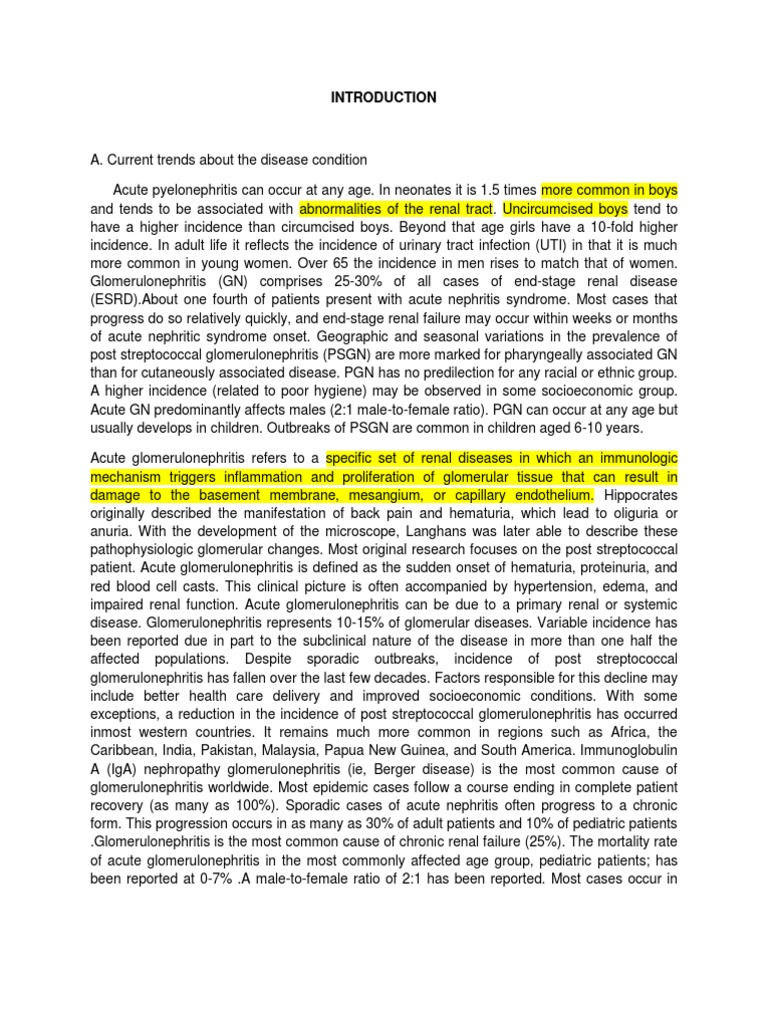 Pyelonephritis adult picture
