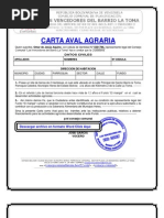 CONSEJO COMUNAL FORMATO MODELO EJEMPLO CARTA AVAL