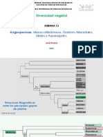 Semana 13 - Monocots 2