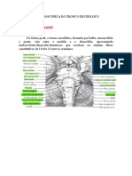 Anatomia Macroscópica Do Tronco Encefálico e Do Cerebelo