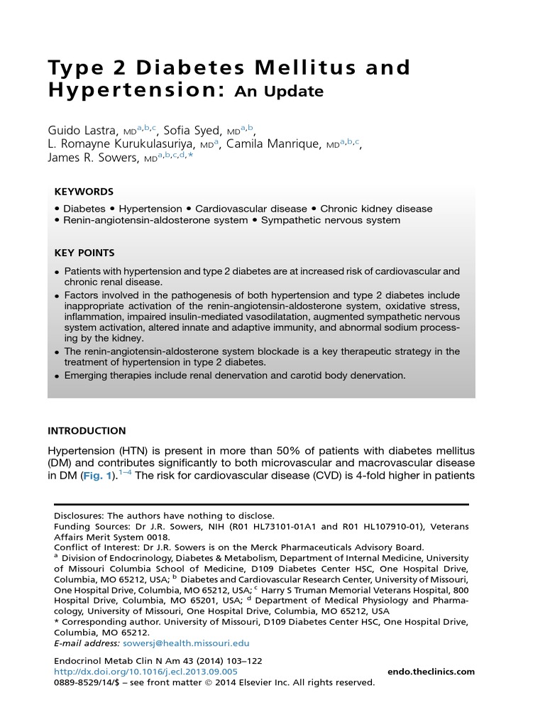 3 Lastra Et Al., 2014 Review - Type 2 Diabetes Mellitus and ...