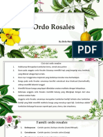 Ordo Rosales by DELA NAVARIN