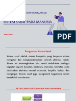 Sistem Saraf Pada Manusia