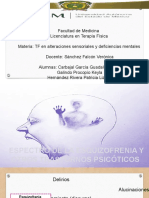 Espectro de La Esquizofrenia y Otros Trastornos Psicóticos