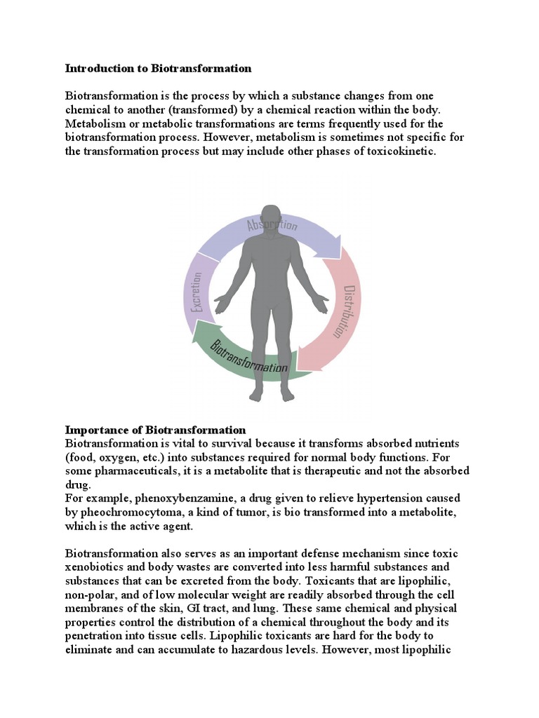 Biotransformation PDF