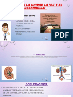 Sisrema Renal 2003