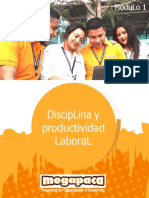 Disciplina y Productividad Laboral - Descargable