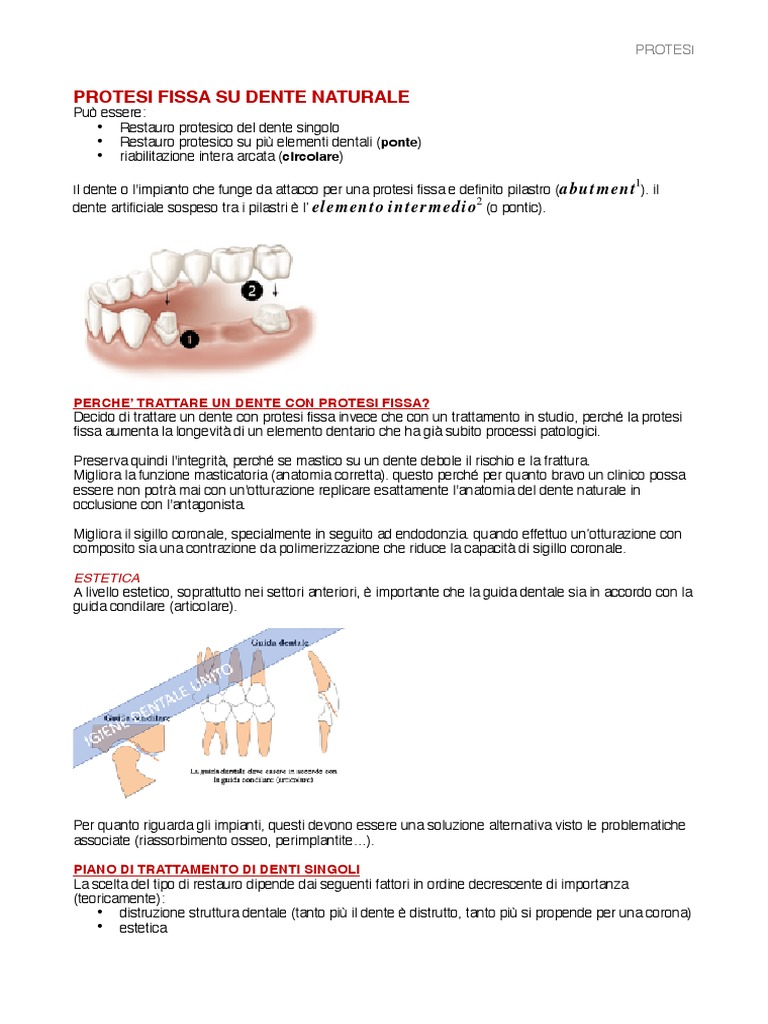 Protesi 1-1 | PDF