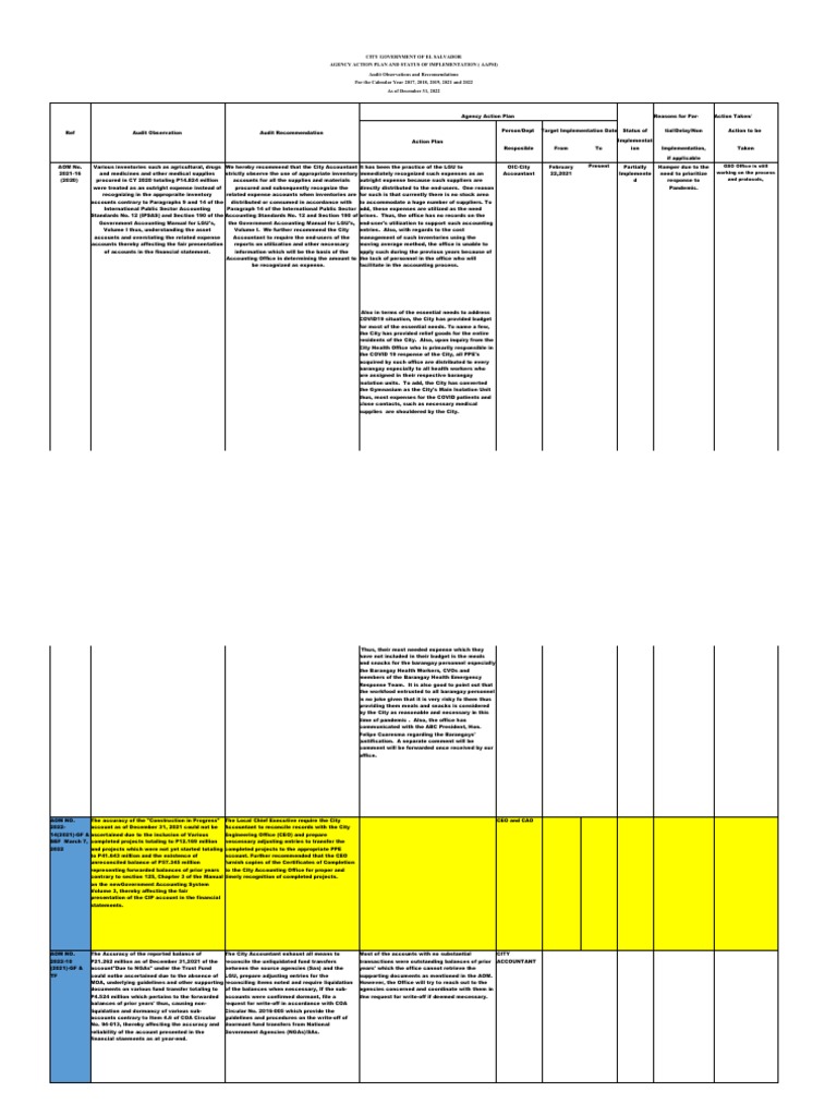 El Salvador City Audit Insights | PDF | Taxes | Inventory