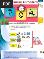 Adaptaciones Curriculares. | PDF