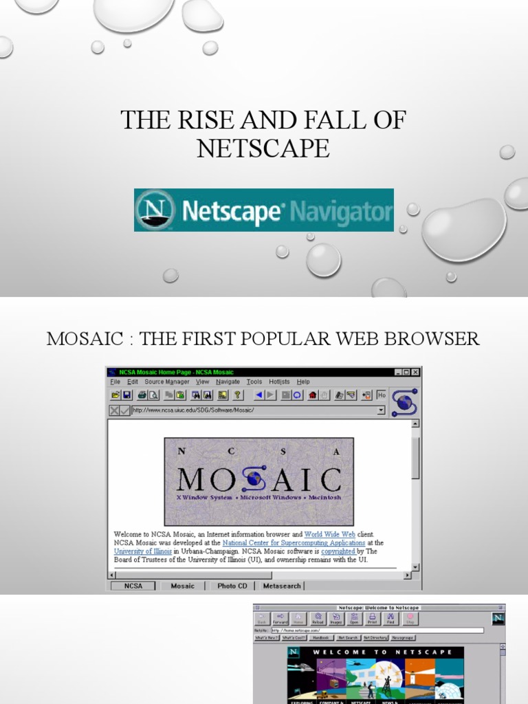 The Rise and Fall of Netscape PDF