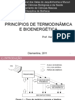 Biofisica_aula_2_termodinamica