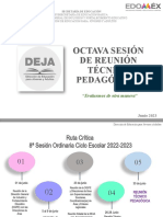 Octava Sesión de Reunión Técnico Pedagógica Ok