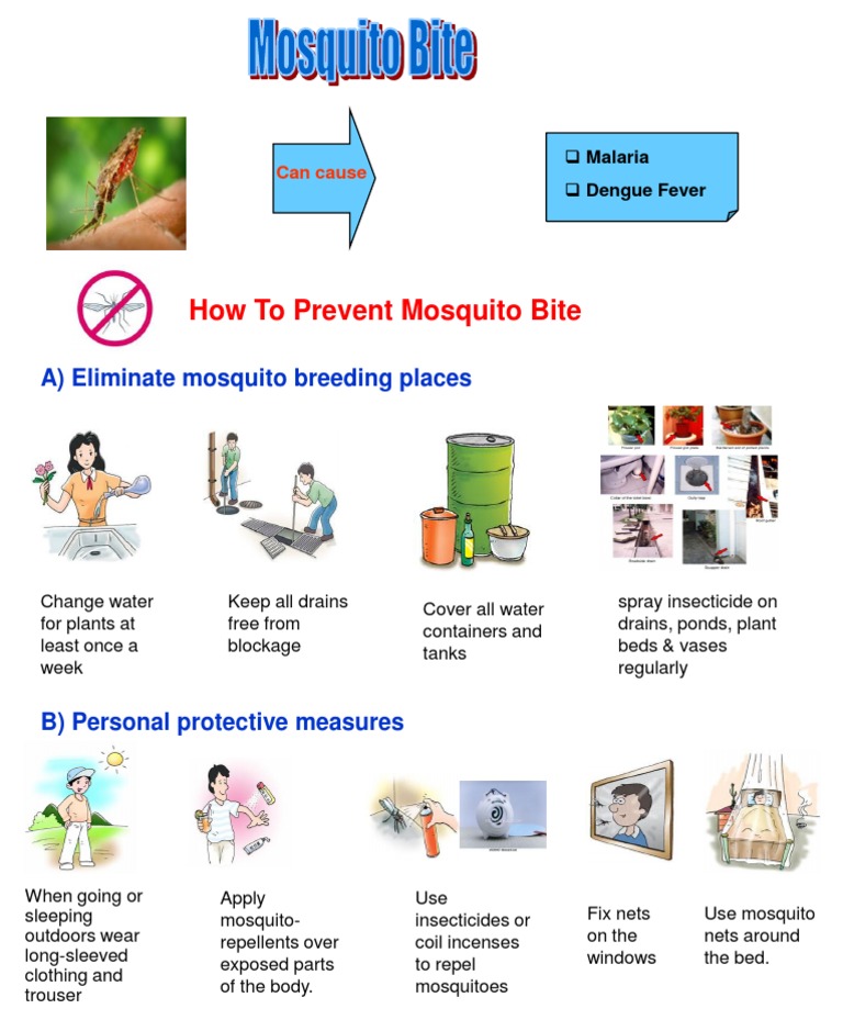 How To Prevent Mosquito Bite A) Eliminate mosquito breeding places