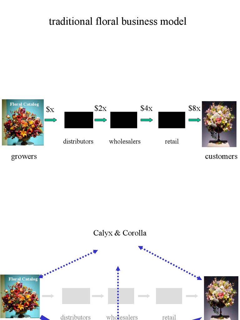 Calyx corolla solution essay picture