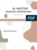 Soal Anatomi Uro-Repro 1