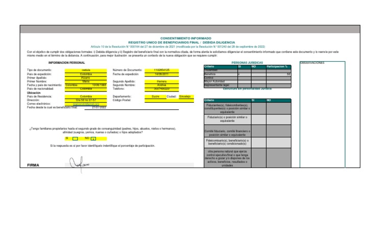 Rub Formato | PDF
