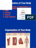 Tissues, Organs and Systems