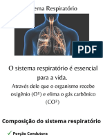 Sistema RespiratÃ Rio