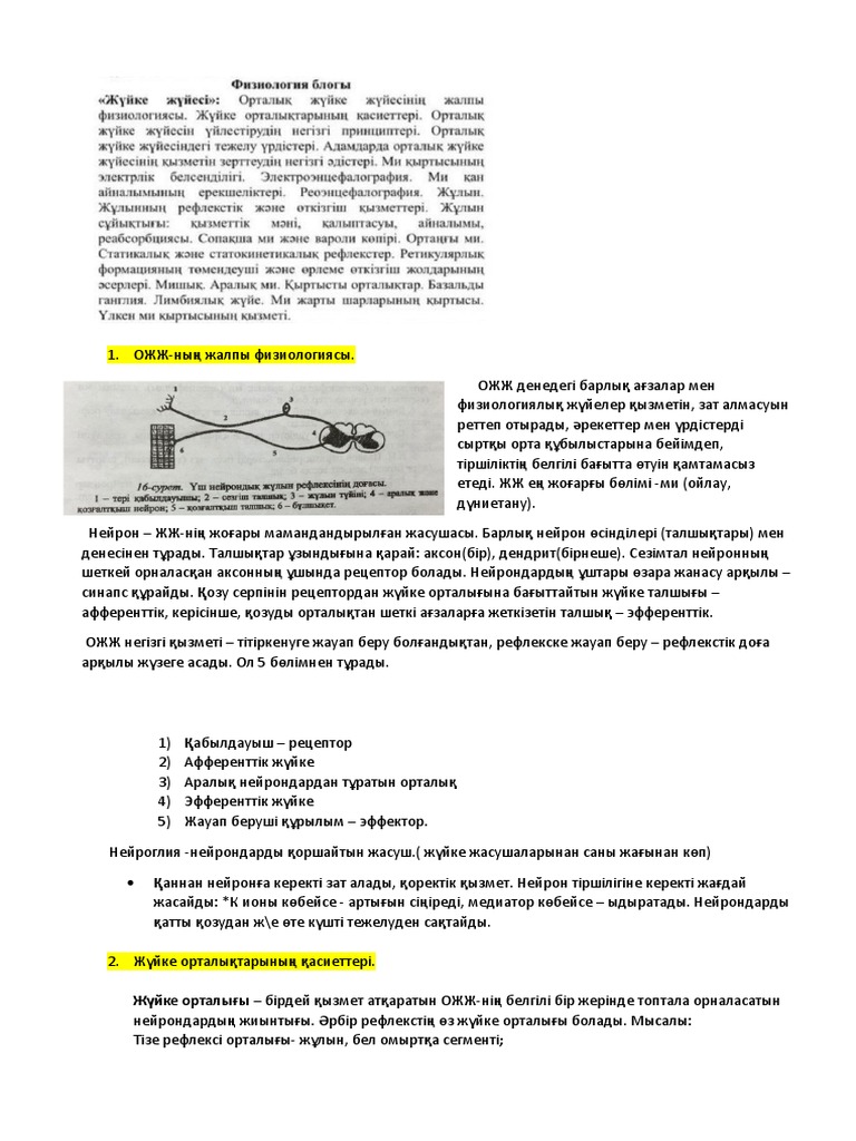 Минет порно онлайн с глотаются