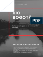 Actividad 1. Río Bogotá