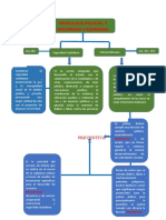 Mapas Conceptuales Patrullaje