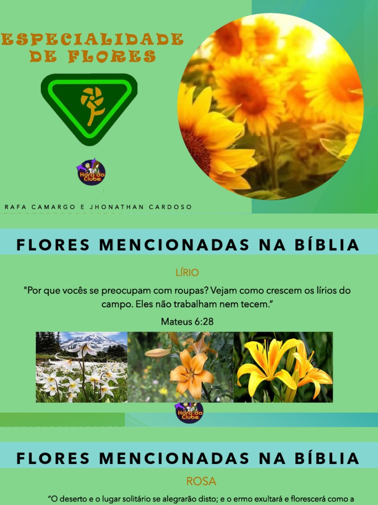 ESPECIALIDADE DE FLORES Avent | PDF
