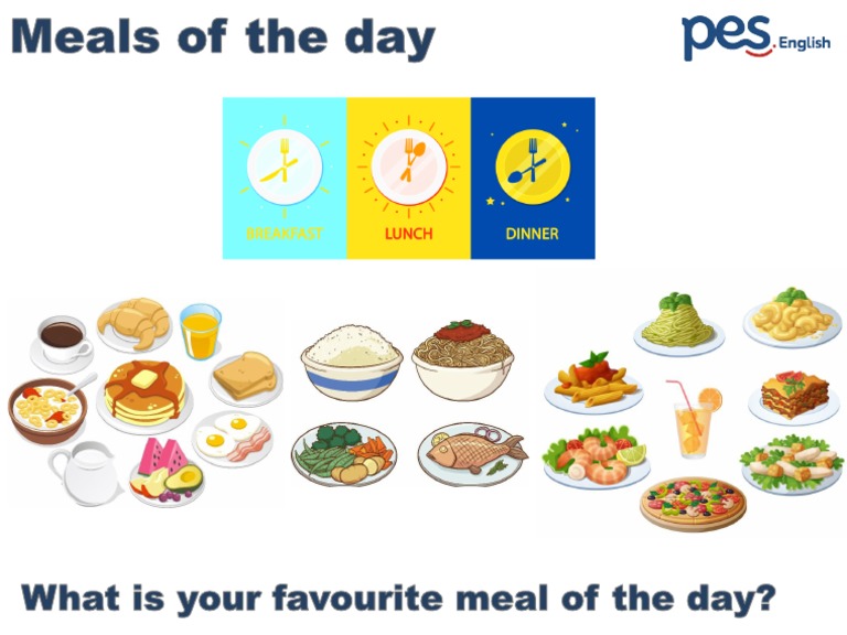 Meals of The Day PDF