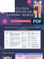 Miologia Cadera y Muslo PDF