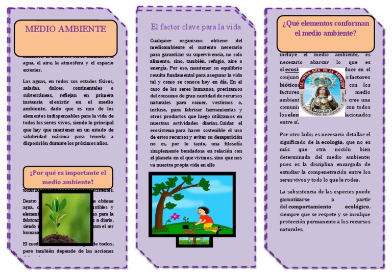 Importancia del Medio Ambiente y Biodiversidad | PDF | Entorno natural ...