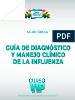 Guia Influenza