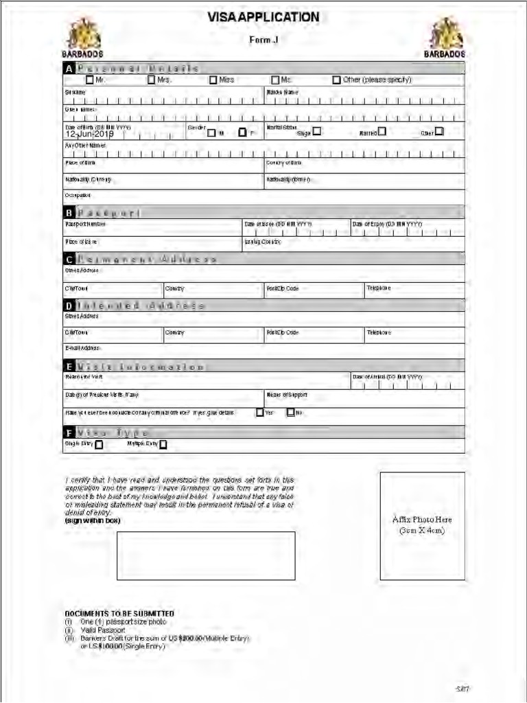 Visa Applictaion | PDF | Government And Personhood | International Law