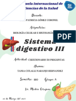 Sistema Digestivo 3