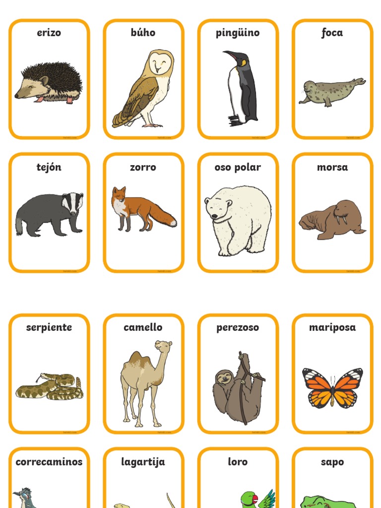 Sa CN 4 Ficha de Actividad Clasificar Los Animales Segun Su Habitat Ver 1 PDF