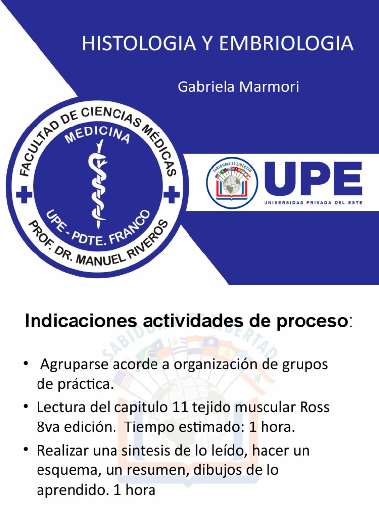 Upe - Clase Tejido Muscular 2022 | PDF