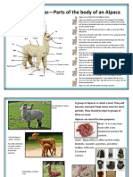 Alpaca Information Sheets