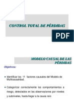 Controldeperdidasmodelocausal 110326095613 Phpapp02