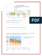 Guía de Actividades Tipos de Transporte A Través de La Membrana