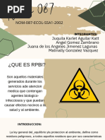 Manual de Rpbi | PDF | Residuos | Especialidades Medicas