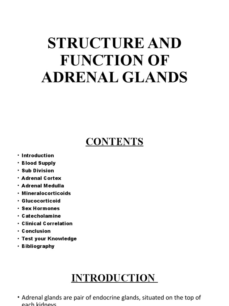 Structure and Function of Adrenal Glands PDF