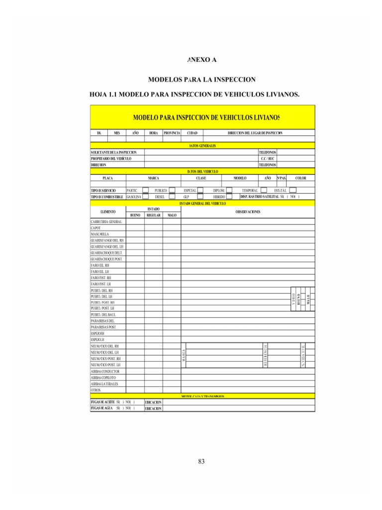 modelo-peritaje-pdf