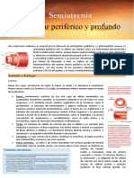 Sistema Vascular Periferico