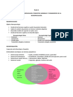 Estudio Prueba 1